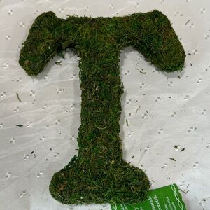 8” moss covered letter “T”